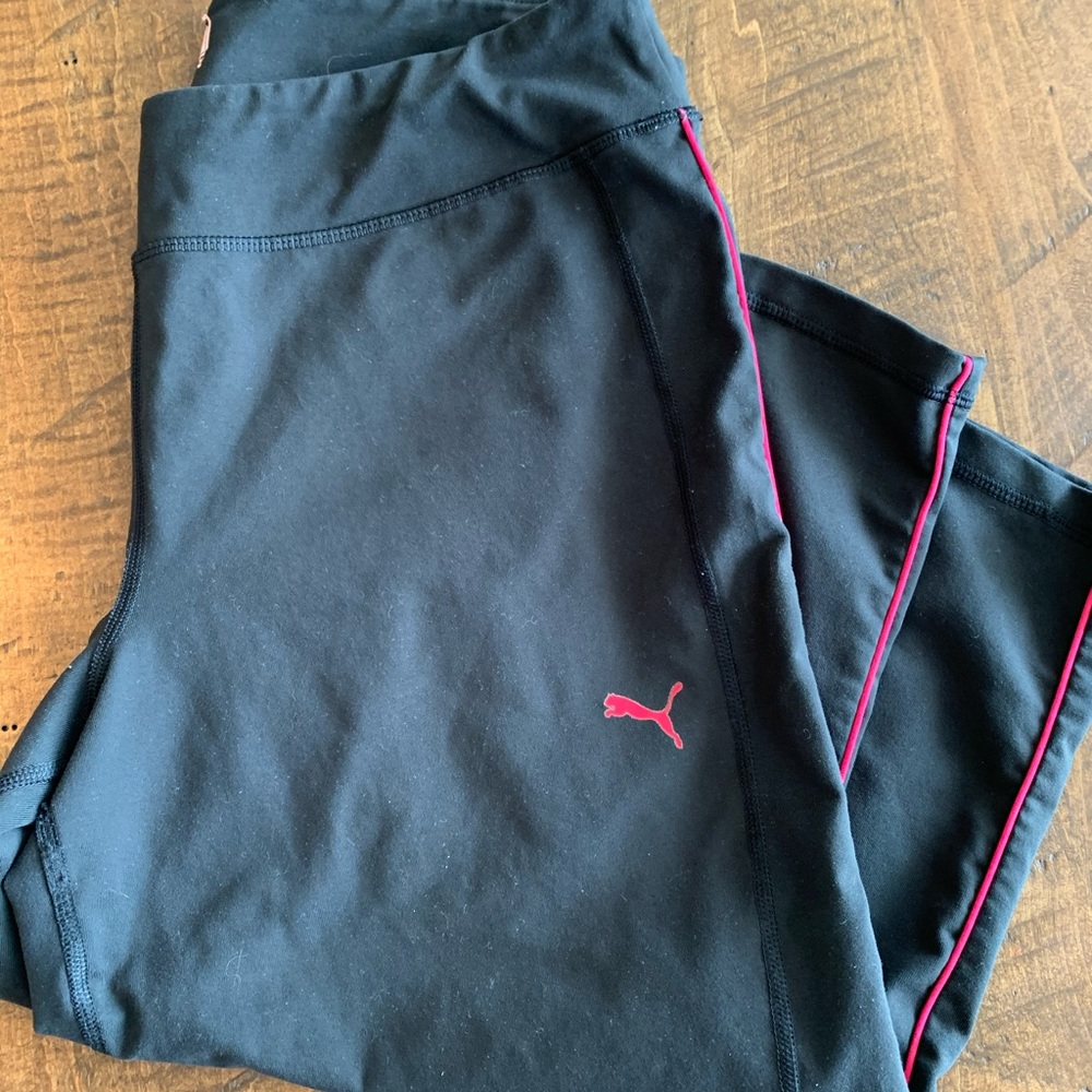 Puma crops - Picture 3 of 3